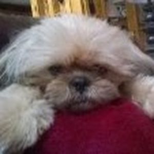 Meet your Posher, Kathleen